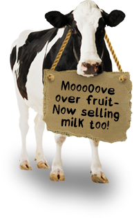 Mooove over fruit. Now selling milk too.